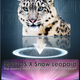 Illustration for article titled Snow Leopard Box Redesign Gallery